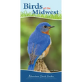 Birds of the Midwest: Identify Backyard Birds with Ease