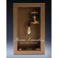 Steam Laundry