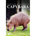 Capybara - Curious Kids Press: Kids book about animals and wildlife, Children's books 4-6