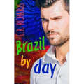 Brazil by Day: Gay Romance