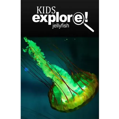 Jellyfish - Kids Explore: Animal books nonfiction - books ages 5-6