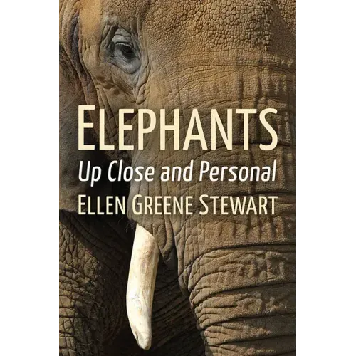 Elephants: Up Close and Personal