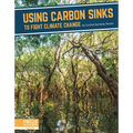 Using Carbon Sinks to Fight Climate Change