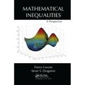 Mathematical Inequalities: A Perspective