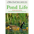 Pond Life: Revised and Updated
