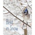 Best in Snow