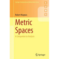 Metric Spaces: A Companion to Analysis