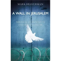 A Wall in Jerusalem: Hope, Healing, and the Struggle for Justice in Israel and Palestine