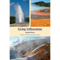 Living Yellowstone: The Park 10 and 25 Years After the Fires