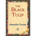 The Black Tulip