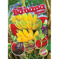 See a Banana Grow