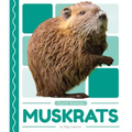 Muskrats
