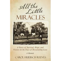 All the Little Miracles: A Story of Survival, Hope, and Victory in the Face of Devastating Loss a Memoir