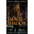 A Mage in Shadow