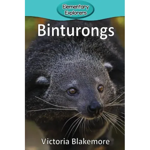 Binturongs