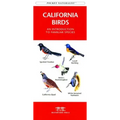 Idaho Birds: A Folding Pocket Guide to Familiar Species