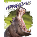Hippopotamus