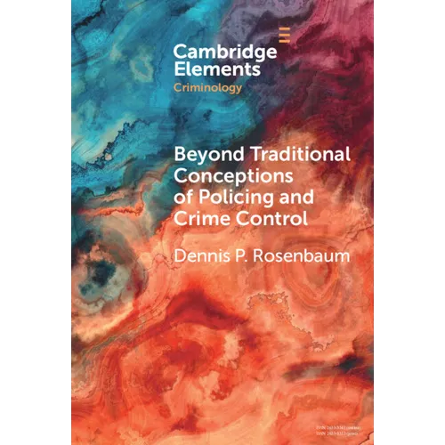 Beyond Traditional Conceptions of Policing and Crime Control