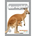 Marsupials
