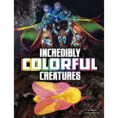 Incredibly Colorful Creatures