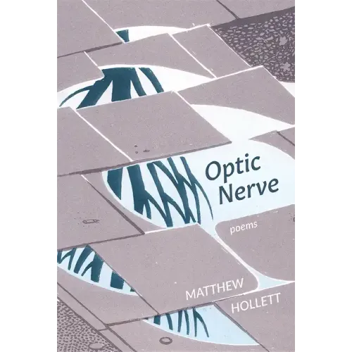 Optic Nerve