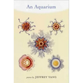 An Aquarium