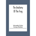 The Anatomy Of The Frog