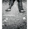 Alvaro Ybarra Zavala: Apocalipsis