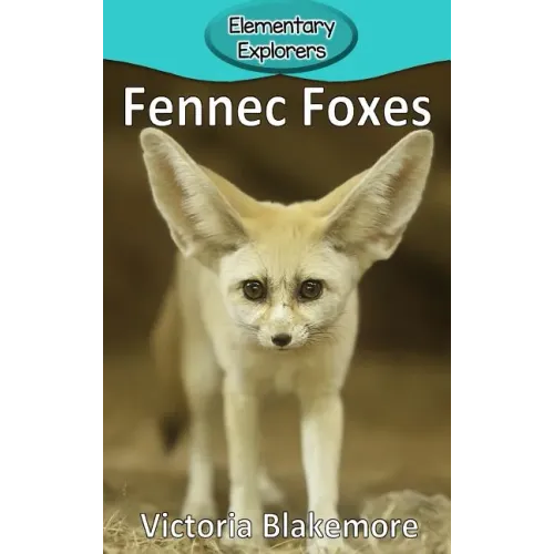 Fennec Foxes