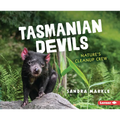 Tasmanian Devils: Nature's Cleanup Crew