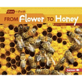From Flower to Honey