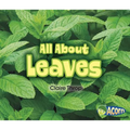 All about Leaves