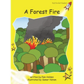 A Forest Fire