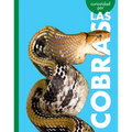 Curiosidad Por Las Cobras