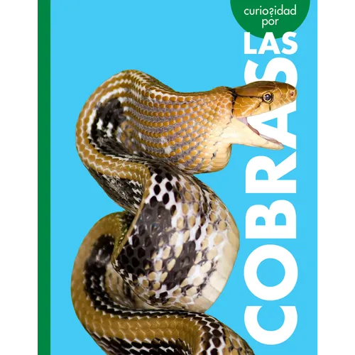 Curiosidad Por Las Cobras
