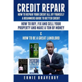 Credit Repair How to Repair Your Credit All by Yourself a Beginners Guide to Better Credit How to Buy Fix and Sell Your Property and Make a Ton of Mon