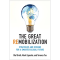 The Great Remobilization: Strategies and Designs for a Smarter Global Future