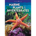 Marine Plants & Invertebrates