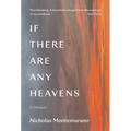 If There Are Any Heavens: A Memoir