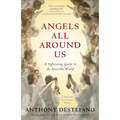 Angels All Around Us: A Sightseeing Guide to the Invisible World