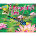 A Dragonfly's Life