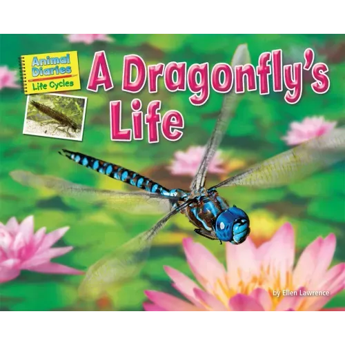 A Dragonfly's Life