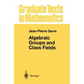 Algebraic Groups and Class Fields