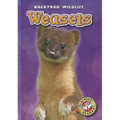 Weasels