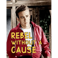 Rebel Without A Cause: Screenplay