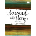 Boucaud in the Story: 2013-2017