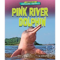 Pink River Dolphin