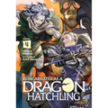 Reincarnated as a Dragon Hatchling (Light Novel) Vol. 4