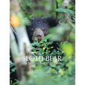Sloth Bear: The Barefoot Bear of Sri Lanka