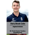 Harry Brook Color: England Cricketer